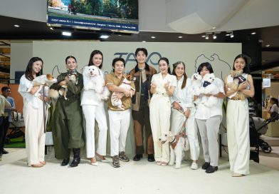 Tavo Pets แบรนด์ผลิตภัณฑ์สุดเอ็กซ์คลูซีฟระดับโลกเพื่อความปลอดภัยของสัตว์เลี้ยงในการเดินทาง