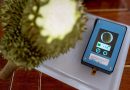 วทช. โดย นาโนเทค นำต้นแบบ “N-sense” ลงพื้นที่จังหวัดระยอง ทดสอบวิเคราะห์ BY2 ในทุเรียน